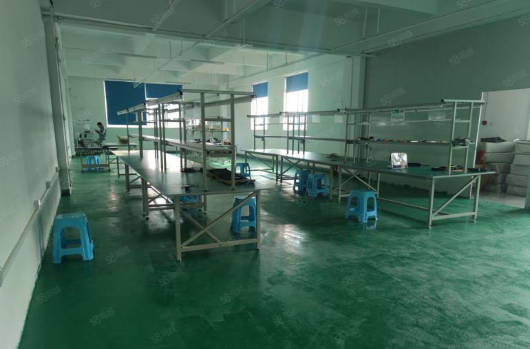 10元！仲恺惠环TGL附近，700平精装修办公室拎包即可生产