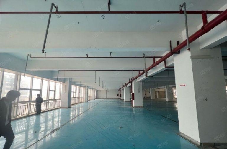 9块带装修！陈江楼上2000平原房东厂房仓库出租，可办环评