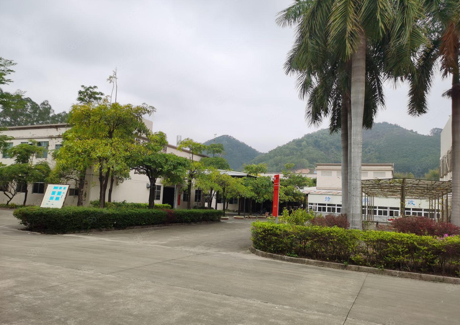 西坑工业区证件齐全单层独院厂房15000平米，分租一千平米起