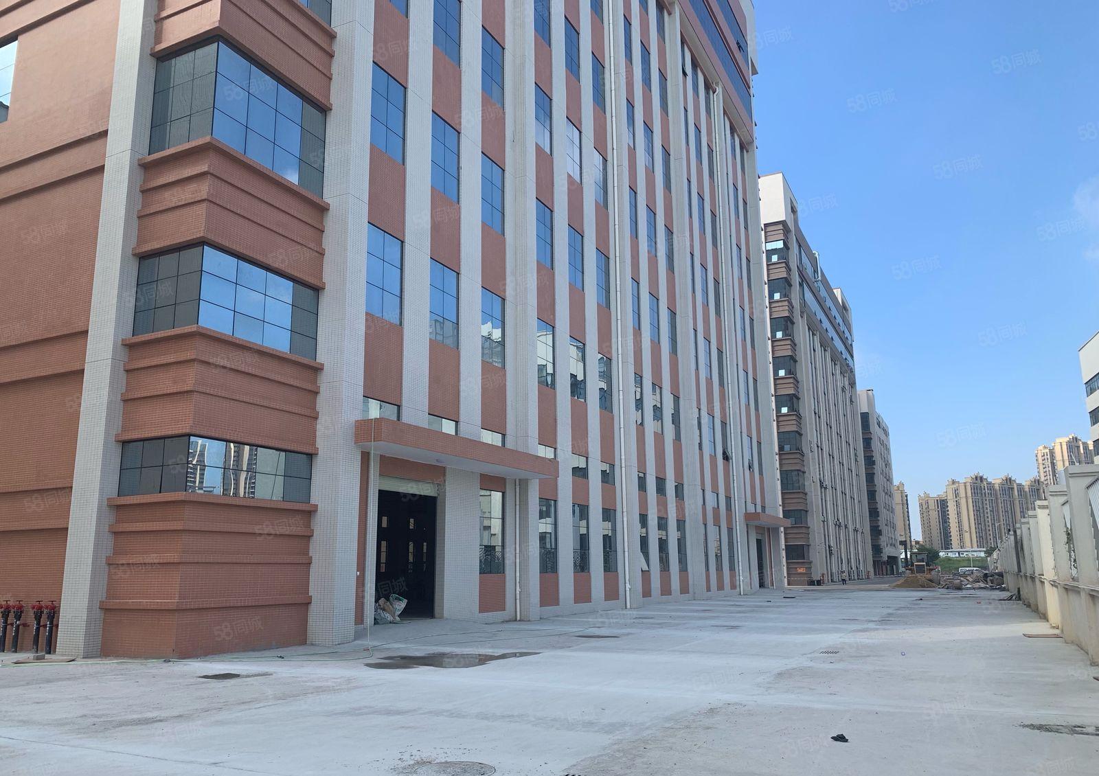 陈江原房东直租20502平工业园全新厂房招租