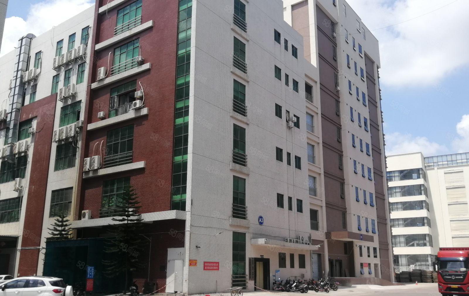 13元起租陈江原房东厂房1000平米起租证件齐全可办环评仓库