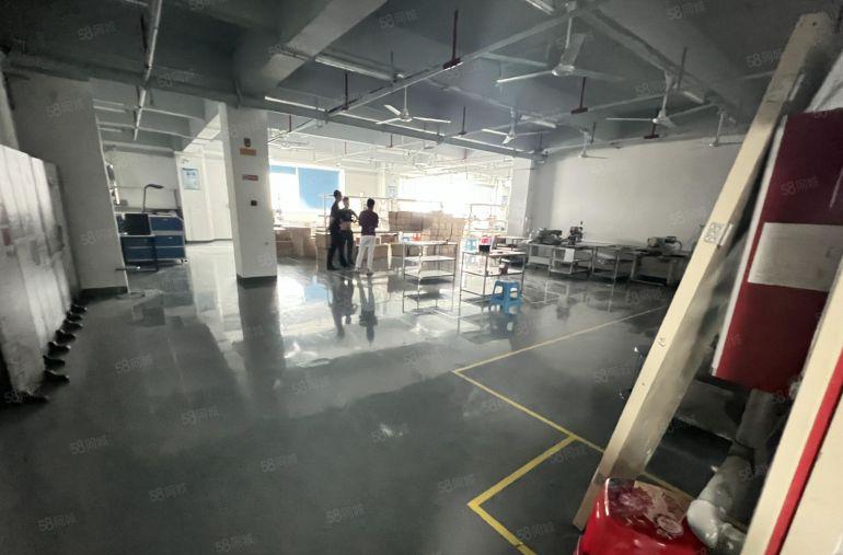 惠州市仲恺区陈江镇大型高新园6楼700平精装修厂房出租低价