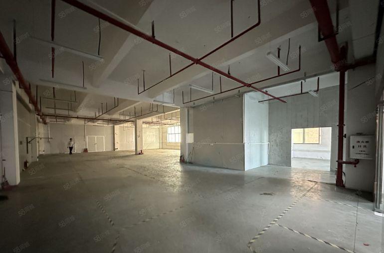 仲恺陈江8元厂房大小分租带装修水电齐全精装修办公室五一平南