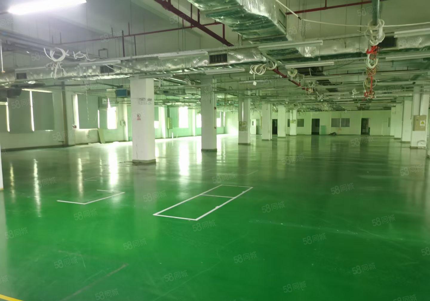 仲恺无公摊现成豪华装修二楼厂房1800平米出租无需转让费