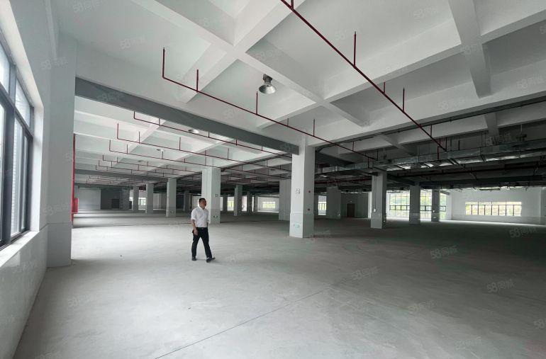 4.9块惠州仲恺厂房全新红本厂房仓库出租1000平起租可分租