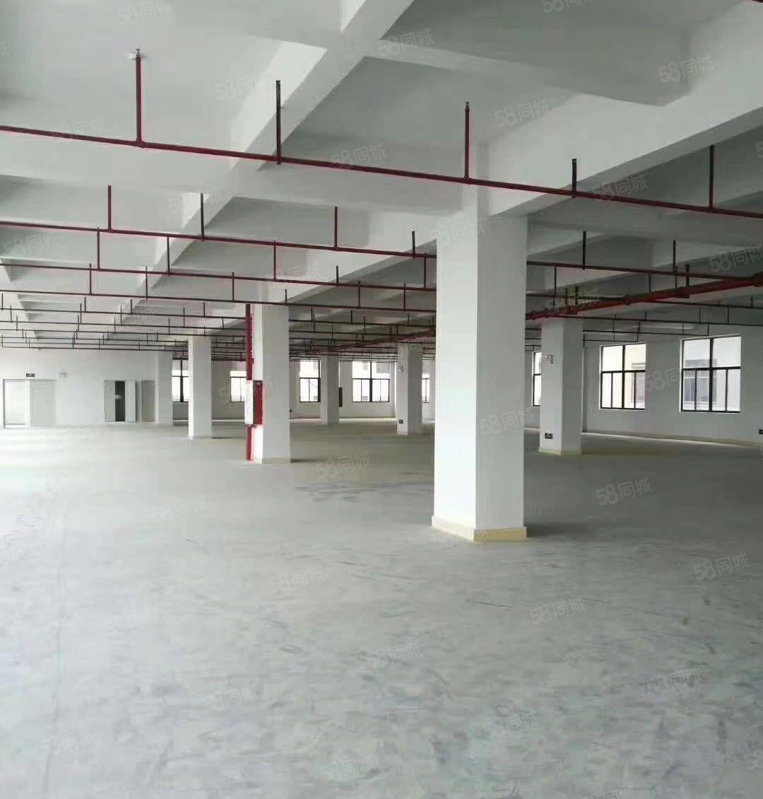 陈江独院圣帞高新材料厂6900平带装修高标准有环评原房东招租