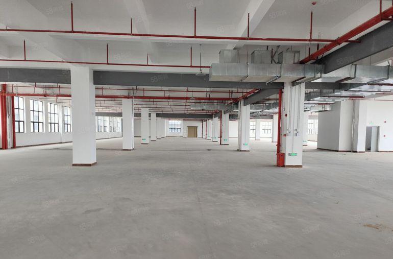 低价原房东厂房仓库出租仲恺陈江镇40000平方2000起分租