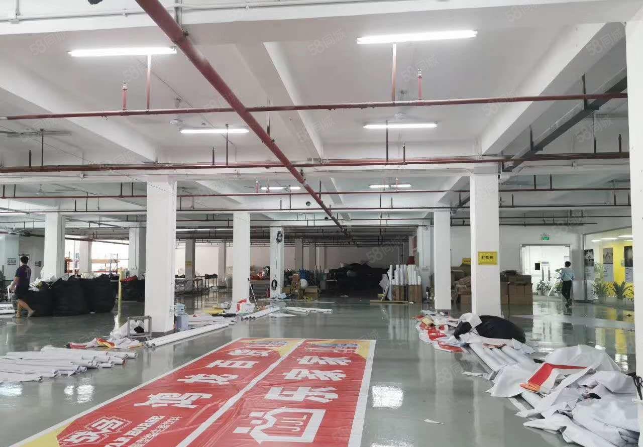 仲恺陈江原房东4万平方大型工业区厂房带红本出租