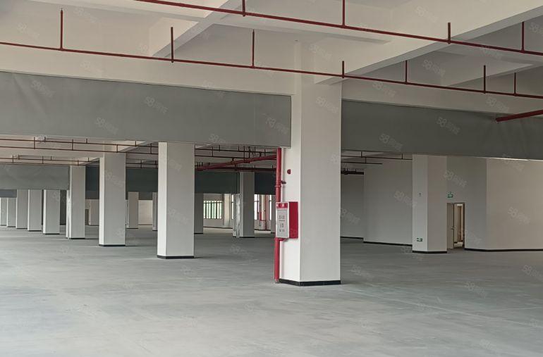 （9元平起租）仲恺高新区红本重工业标准厂房74000平出租