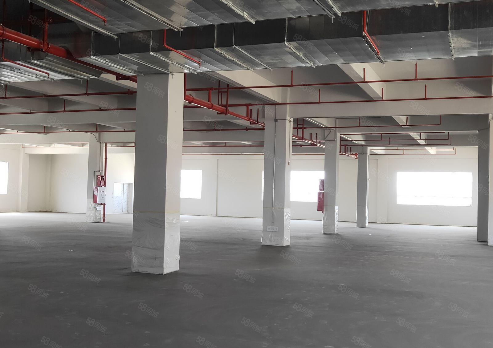 罗群工业区工业园分租一楼厂房2000平 700平出租