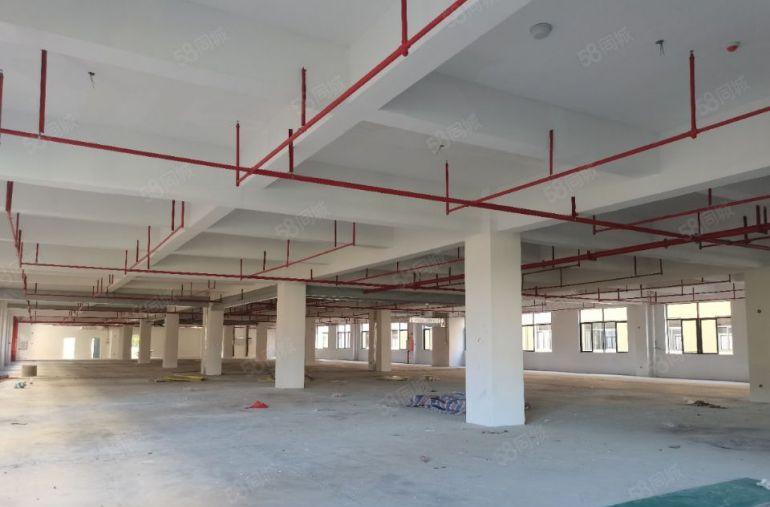 仲恺厂房出租，大小资源都有