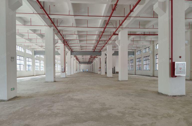 5元！仲恺高新区新出单层5000平原房东实际面积出租 可分租