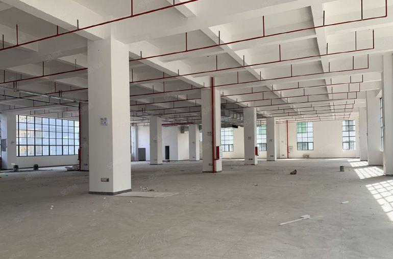 陈江原房东20000平米全新红本独院厂房出租可分租一楼8米