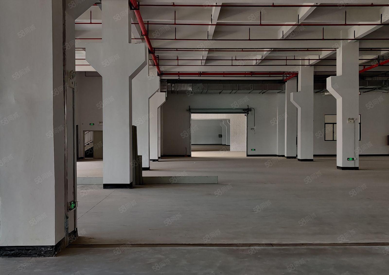 10元起租 惠州仲凯陈江永龙工业园800平方标准一楼厂房出租