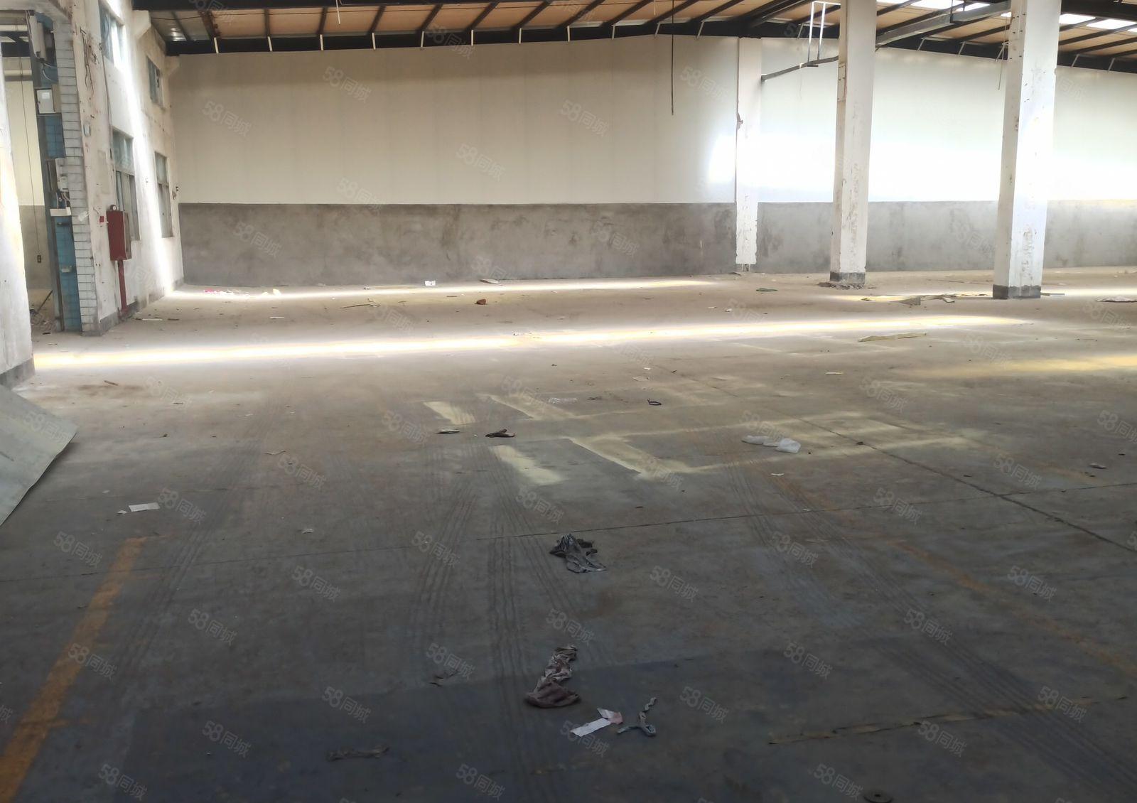 陈江五一工业区单一层厂房1050平方，滴水高度6米可分租。