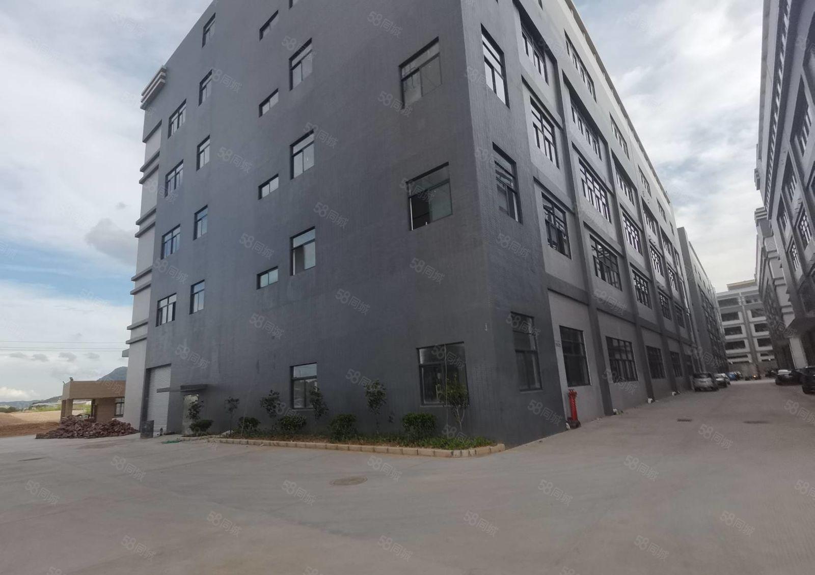 陈江惠环原房东工业园5万平红本厂房出租500平起分租一楼7米