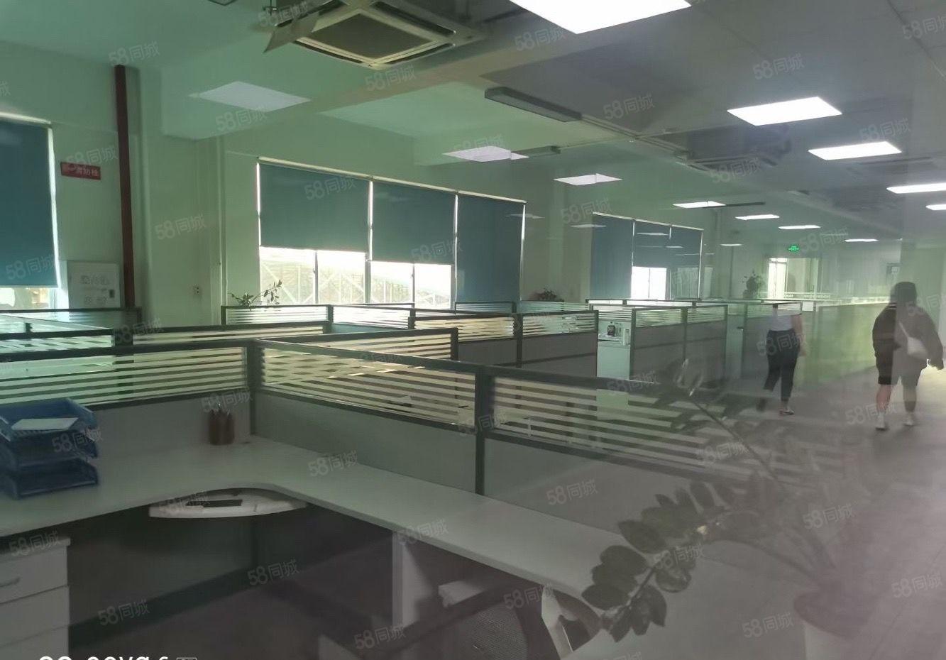 仲恺高新区12米高单一层钢结构出租