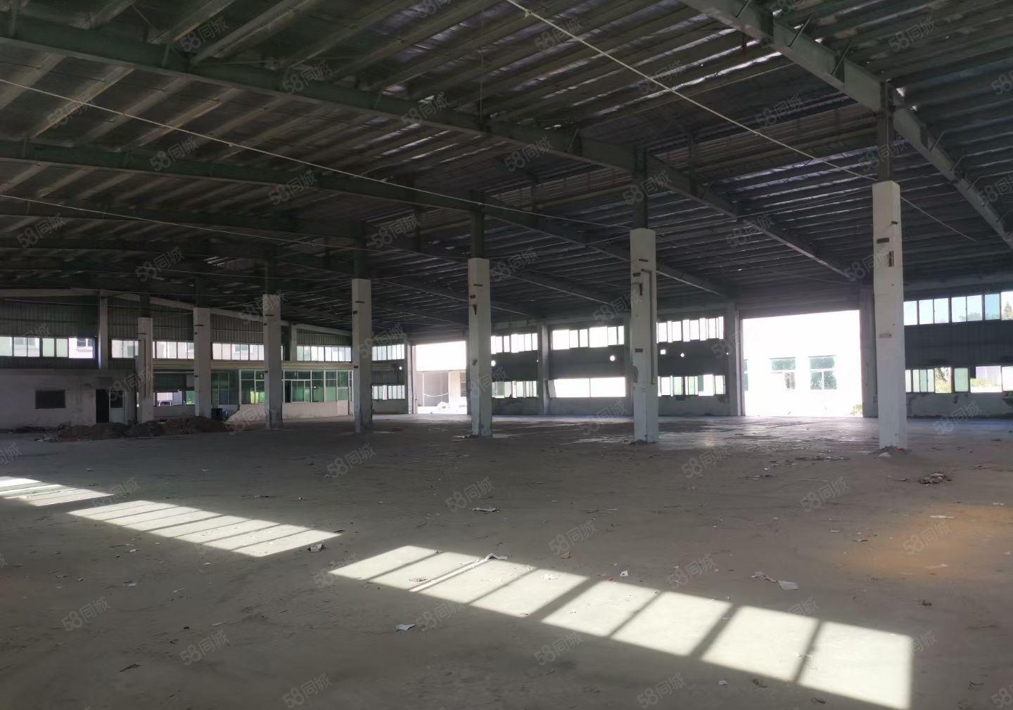 历林单层厂房出租2080平方可以分租
