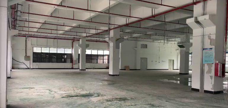 年关急租16块！单层2000平可分租500原房东直租带装修