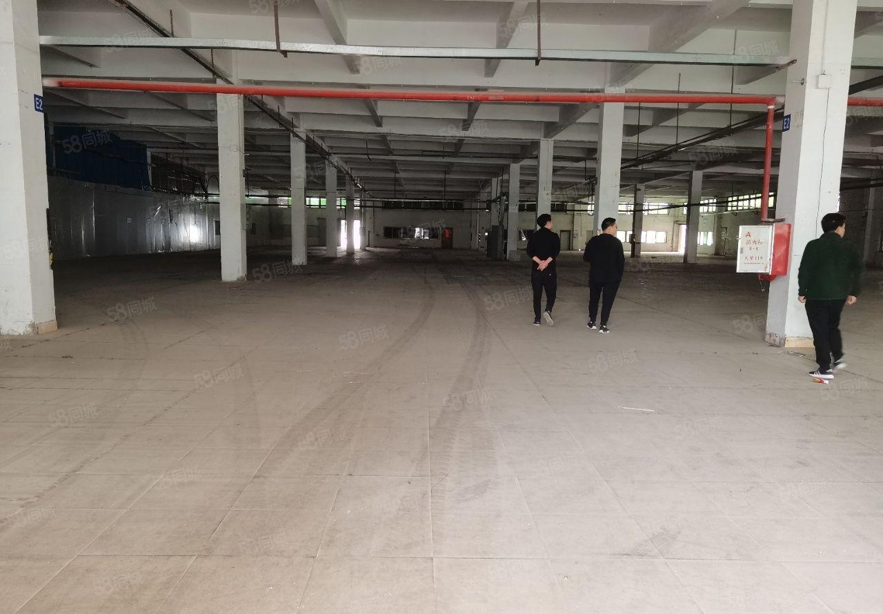 陈江镇甲子工业区1000平方单一层一楼厂房出租