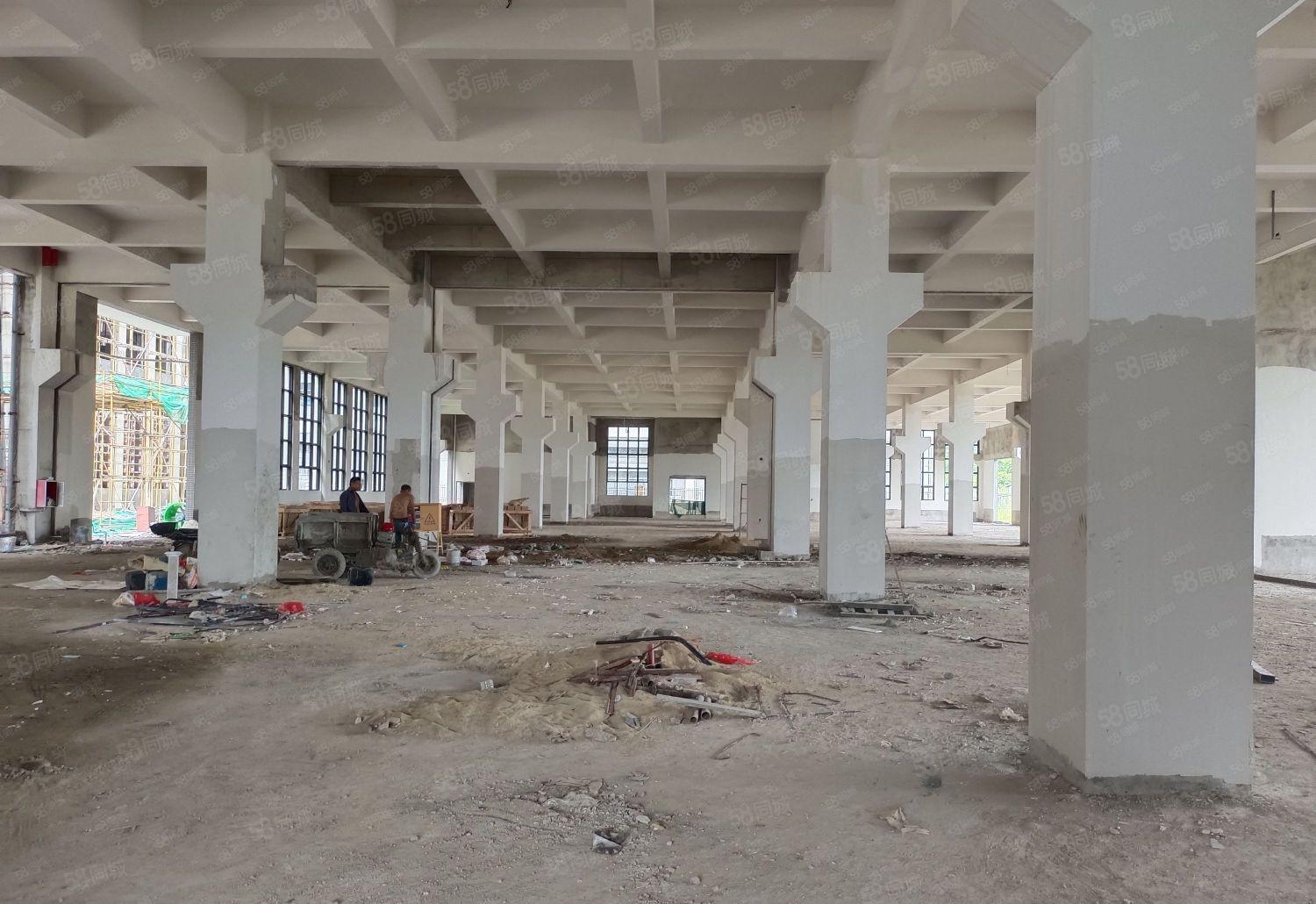 陈江镇标准新建红本78000厂房出租，交通便利！园区空地大！