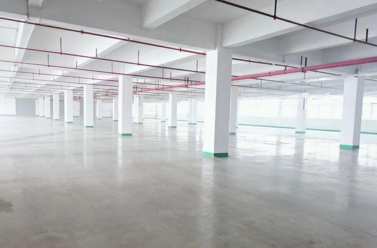 仲恺陈江，新出楼上2000平厂房仓库，低价出租带装修办公室。