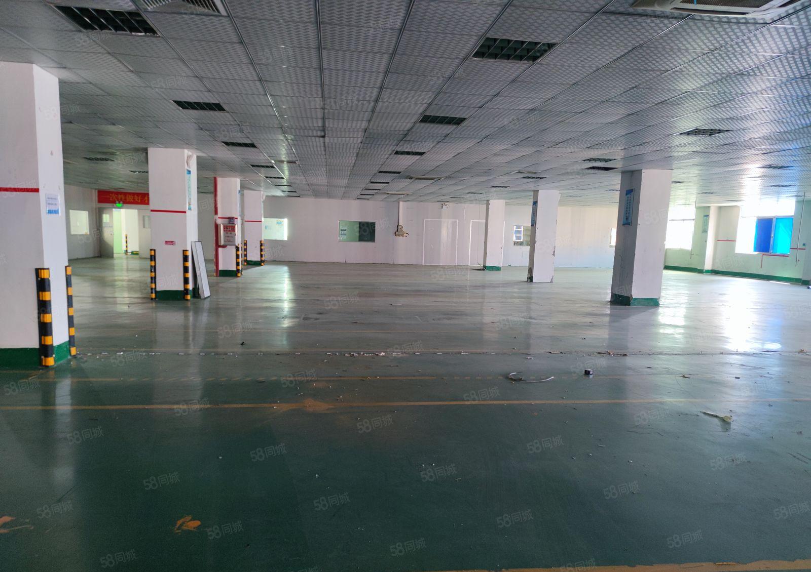 陈江独院厂房招租，证件齐全！可办环评！易招工