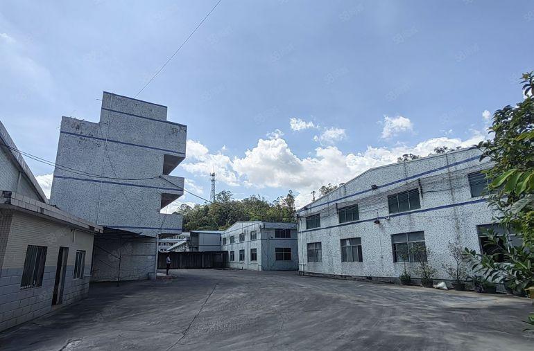 仲恺厂房出租潼湖独门独院厂房出租钢构4500平中韩产业园旁