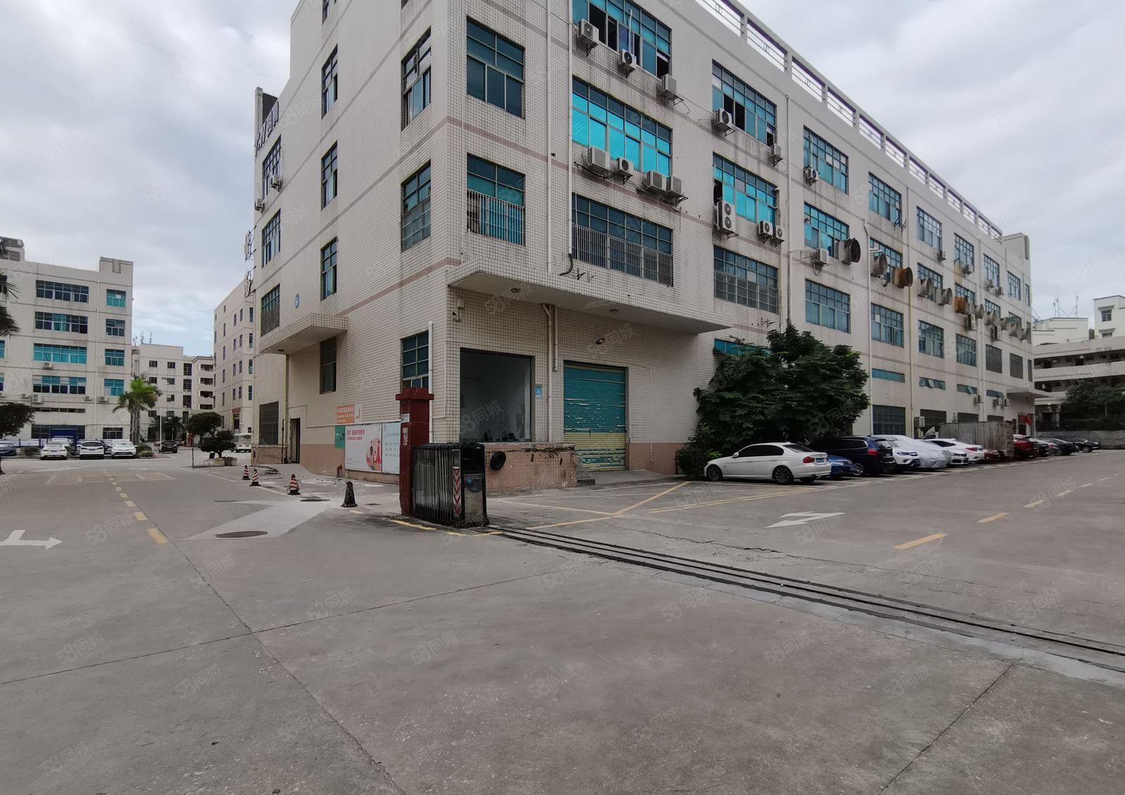 仲恺陈江五一300平至2000平厂房仓库办公室出租低价分租