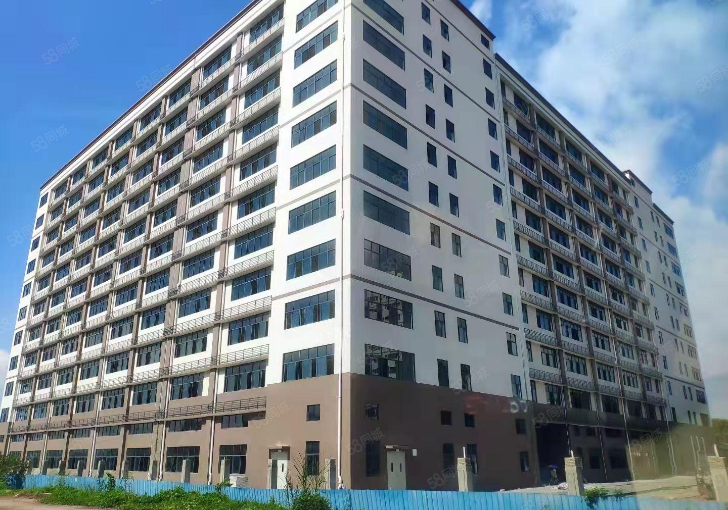 可分租！僮桥新出全新10万平方红本厂房出租！配套齐全，原房东