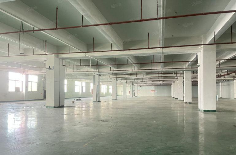 惠环原房东一二楼各1000平现成装修办公室仓库厂房低价出租