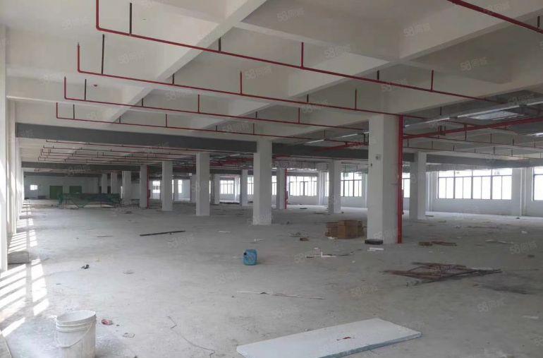 惠州仲恺高新区tcl总部旁全新工业厂房13万方招租