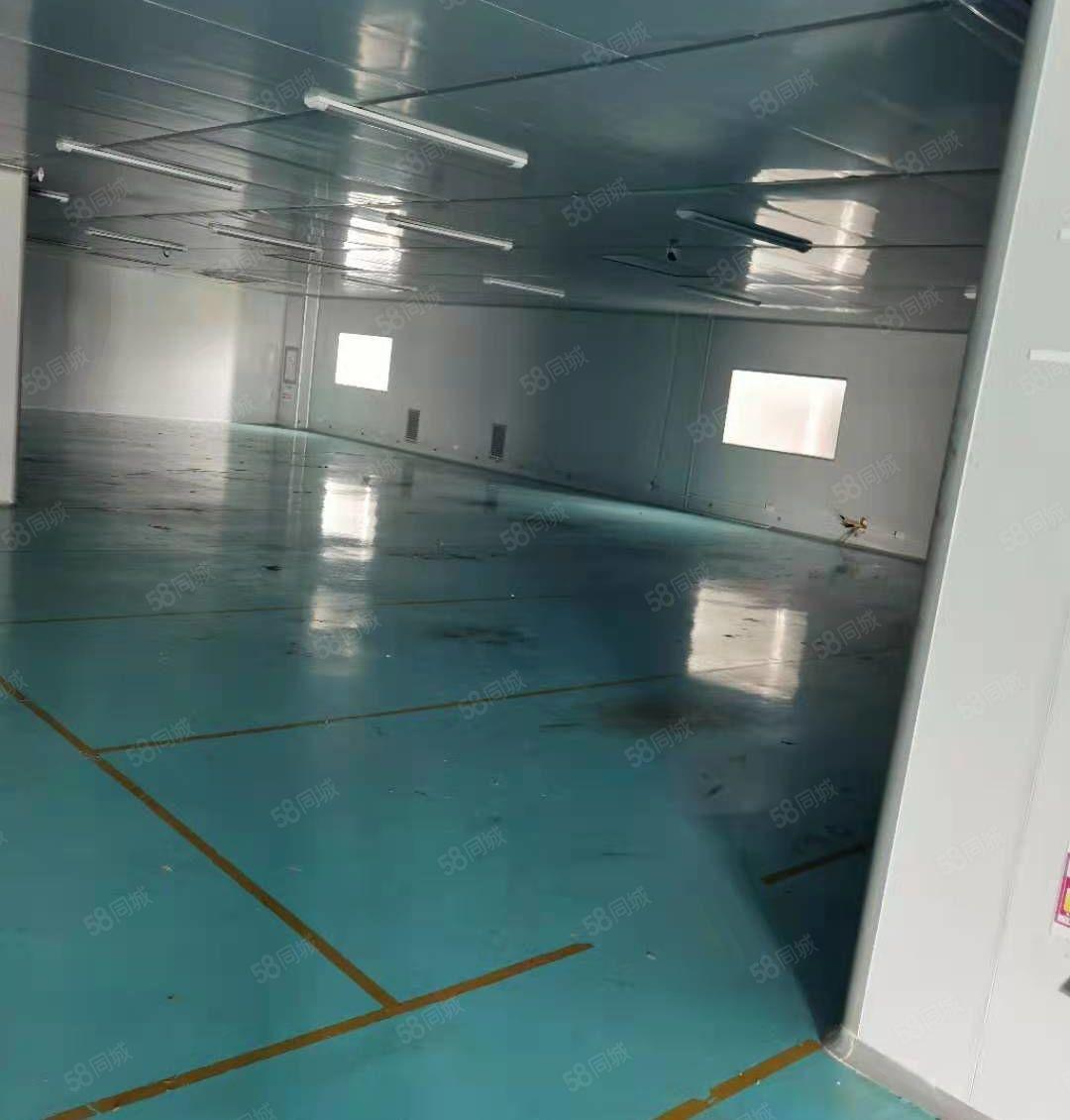 仲恺标准厂房340平4楼带装修