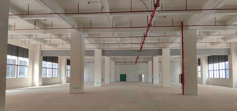 仲恺两层5000平米标准厂房出租