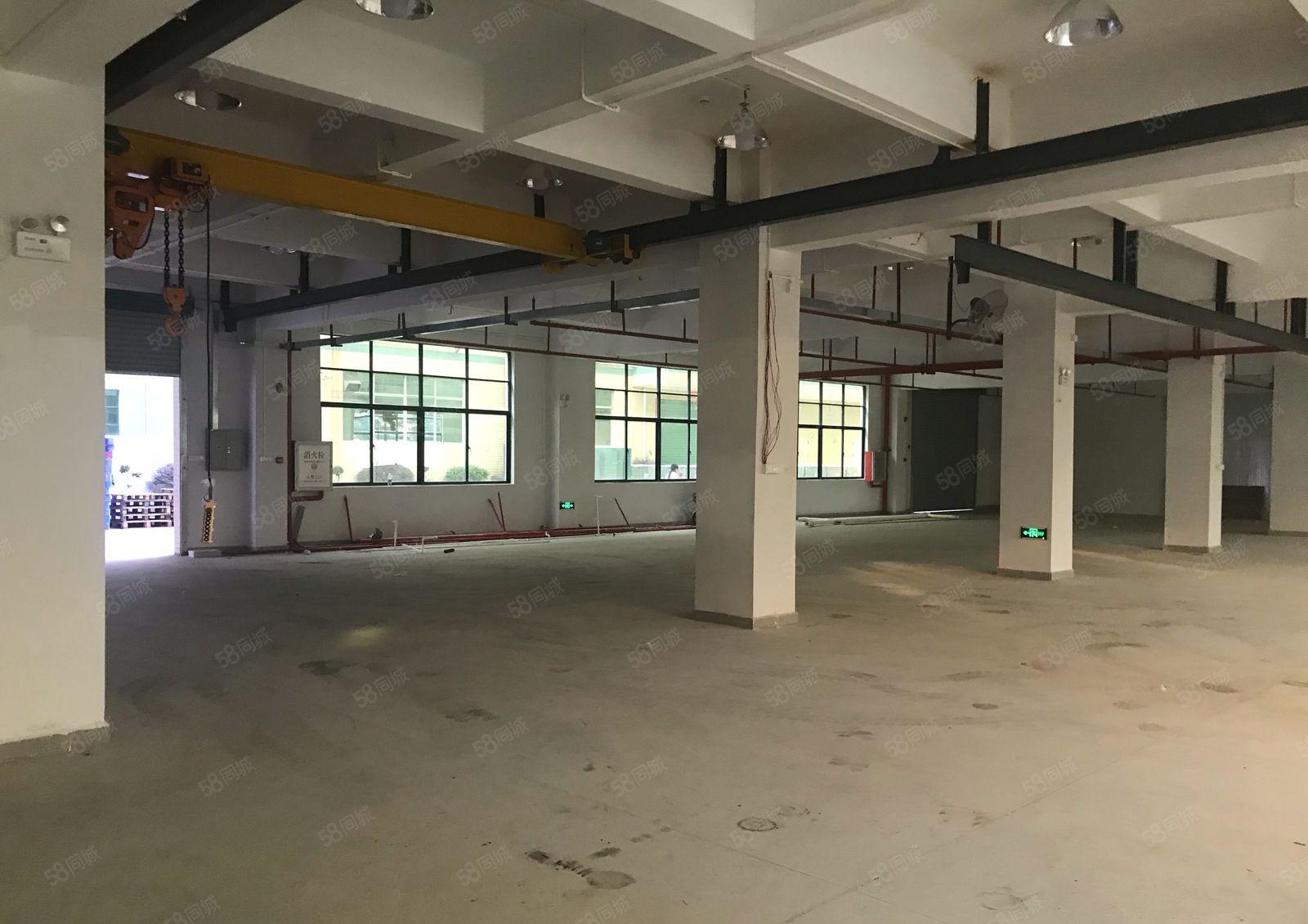 陈江大欣工业区一二楼500平1000平出租