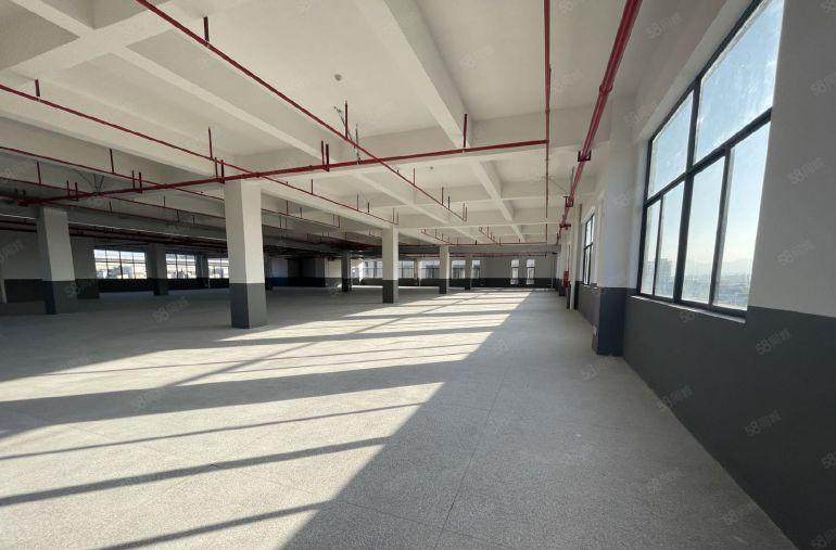 仲恺陈江特价12.8元2200平独门独院实际面积全新红本