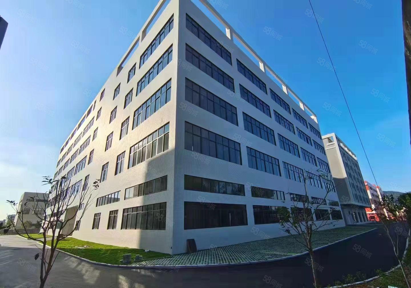 （三个月免租期）原房东园区厂房3800平带卸货平台，可分租