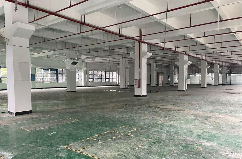 年关急租16块！单层2000平可分租500原房东直租带装修