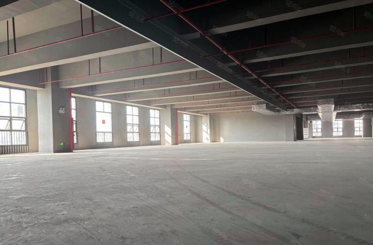 9元！仲恺独院厂房仓库1000平起租园区配套齐全房东包隔主墙