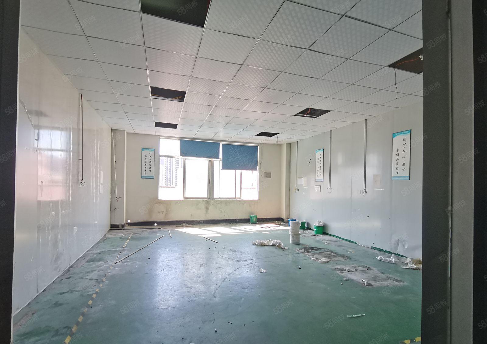 仲恺惠台工业区原房东厂房700平方带精装修出租