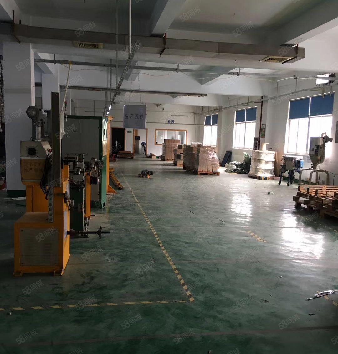 潼桥原房东独院标准厂房总面积5600平方可按需分租