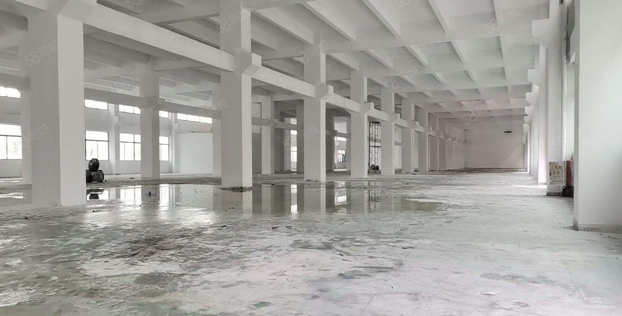 仲恺惠环22140平米独门独院的标准厂房出租，厂房一楼带牛角