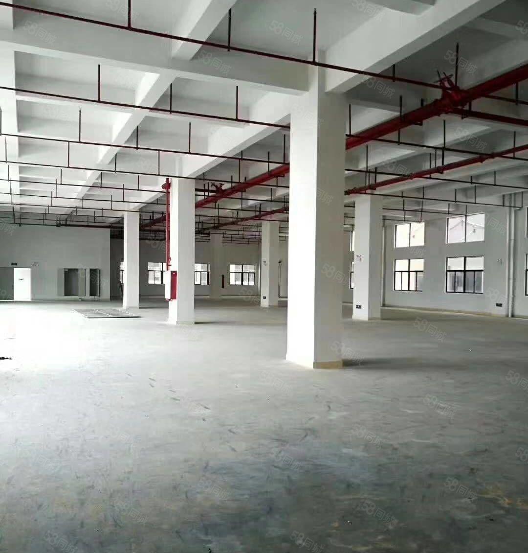 仲恺平南罗格朗开关厂原房东分租一楼600标准厂房带装修有环评