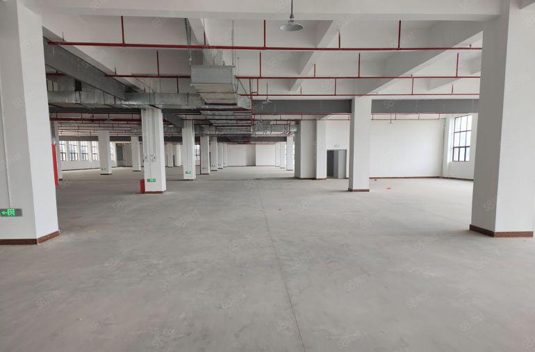 低价原房东厂房仓库出租仲恺陈江镇40000平方2000起分租