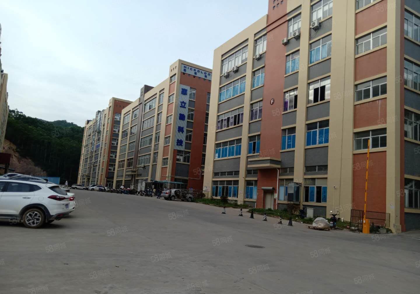 惠州仲恺陈江高新区全新厂房7000平出租可分租500平方起分