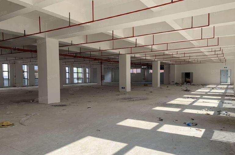 仲恺惠环亿纬附近原房东厂房出租 12元 实际面积出租 可分租