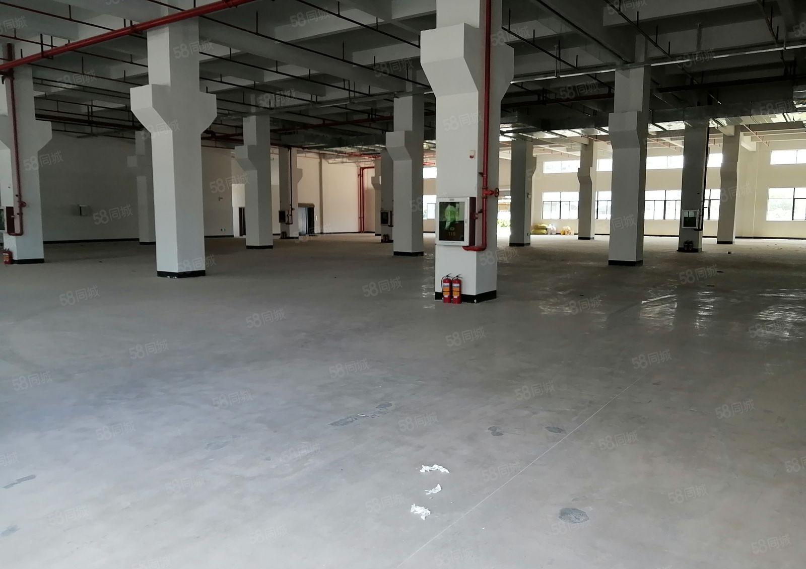 陈江万盛兴工业园78000平一手房东招租，可分租一楼层高6米