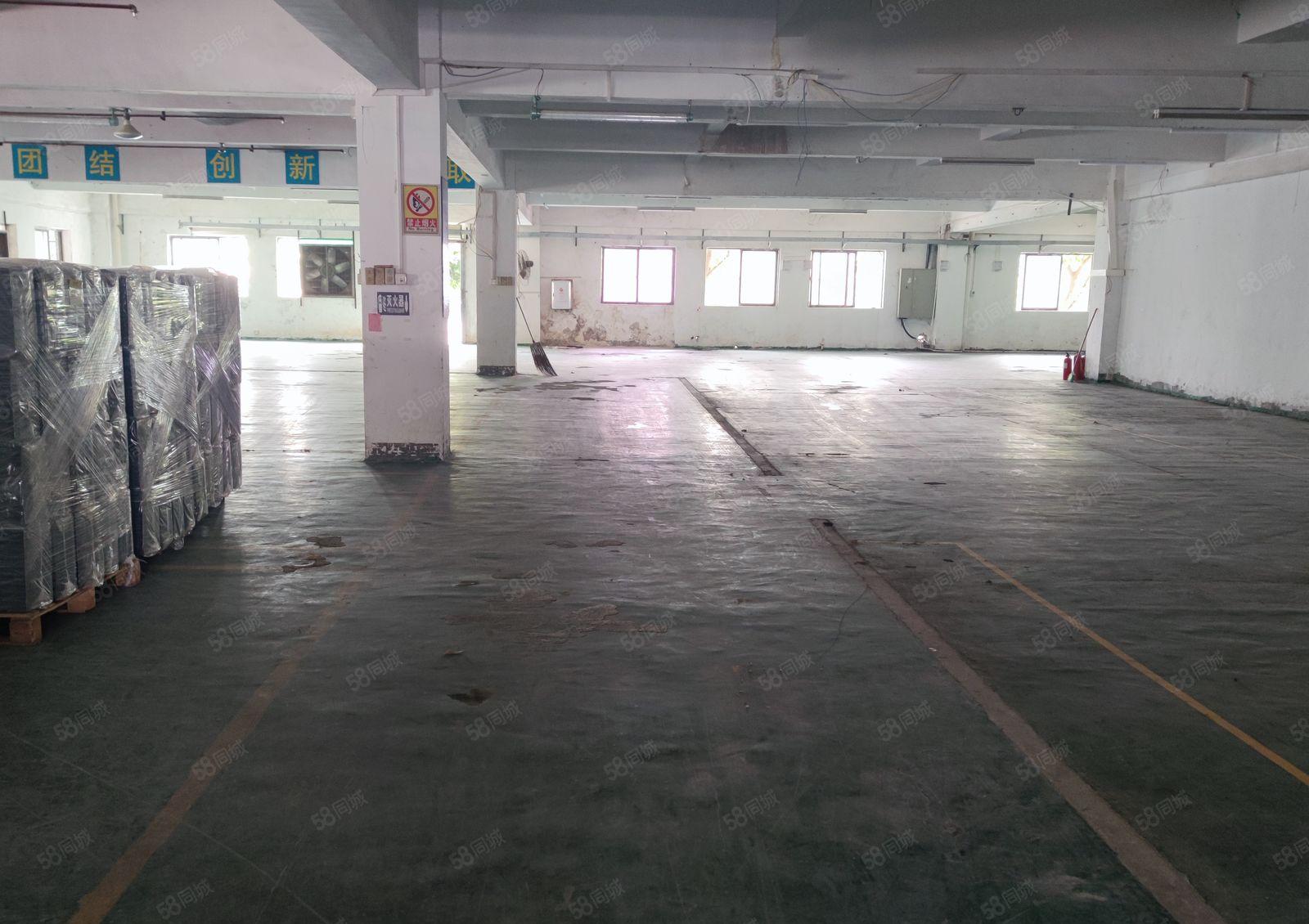 潼侨新建红本厂房出租，配套设施完善！主路边，交通便利