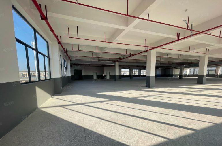 仲恺特价8元独门独院3000全新厂房出租带装修实际面积