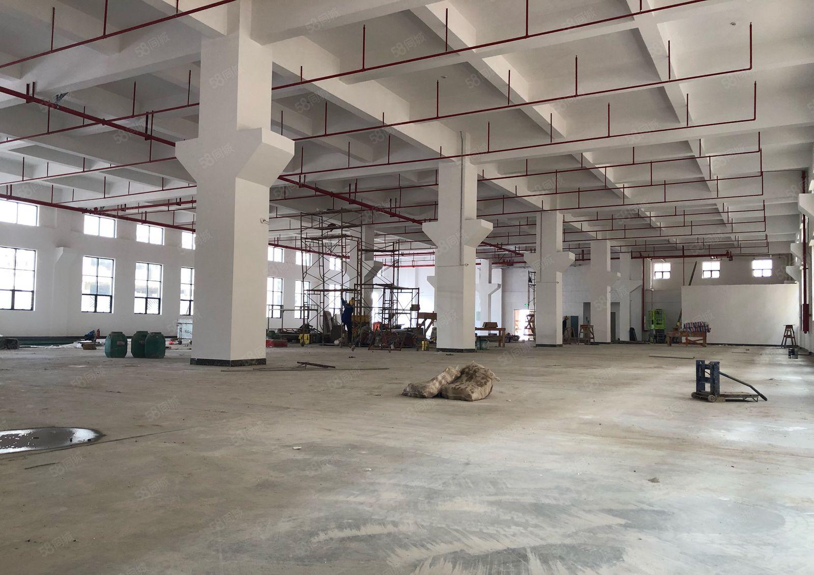 仲恺惠环全新红本厂房20394平方原房东直租接受半层分租